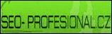 SEO Profesional