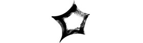 Socialyte Collective