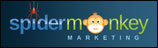 Spider Monkey Marketing