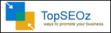 TopSeoz Web Solution