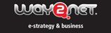 Way2net - Digital Strategy
