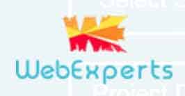 Web experts