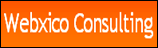 Webxico Consulting